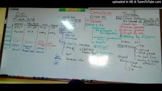 6) Dr. wael salah conjunctivitis