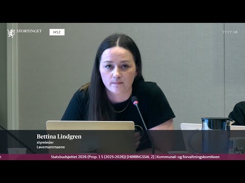 Løvemammaene på høring kommunal  og forvaltningskomiteen