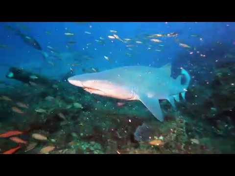 Proteus Shipwreck - Hatteras, NC 05/19/19