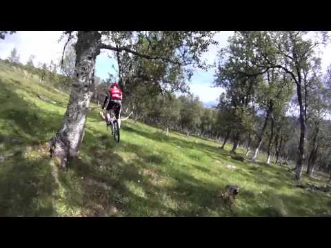 Sykkeltur Sollia-Vetefjell