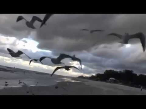 Wolne niedrogiepokoje kwatery Karwia 2013. http://www.karwia.info.pl/dzikaroza