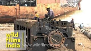 The demolition site, Alang