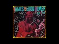 James Blood Ulmer 1982-Black Rock 04-Family Affair