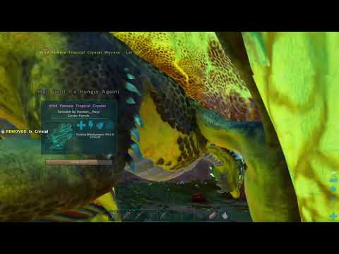 First Tropical Crystal Wyvern Tame (Ark Crystal Isles part 6)