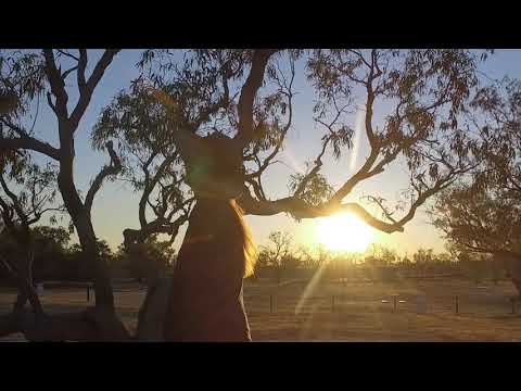Burke and Wills Dig Tree
