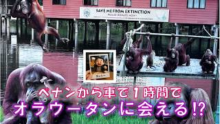 ブキッ・メラにあるオラウータン保護施設