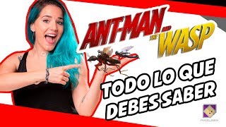TODO LO QUE DEBES SABER DE ANT-MAN AND THE WASP