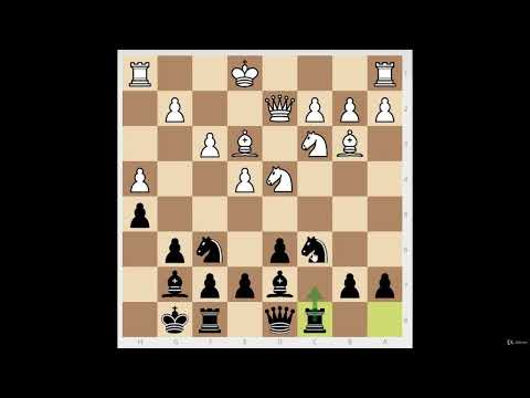 Example of a Successful Dragon Defense | Advanced Chess Lessons with FM Mike Ivanov
