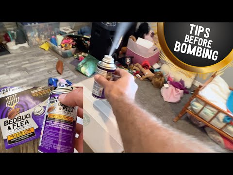 ★★★★★ Hot Shot Flea Bomb How-to Step by Step for Cats and Dogs and Families (kids)
