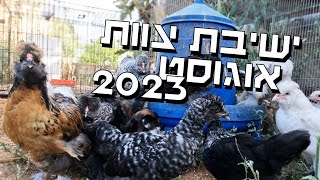 חיות המשק מתכנסות לישיבת צוות וביחד נענה לכם על כל השאלות