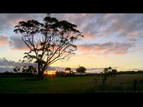 T364, A2 986 & Heritage Steam Train in Victoria - PoathTV Australian Railways