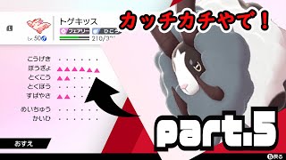 【ポケモン剣盾】おすえのまったり強者への道＃5バイウールーを使いたい！