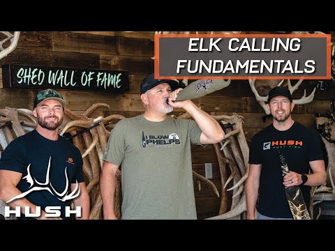 HOW TO CALL ELK | LESSONS FROM A CHAMPION