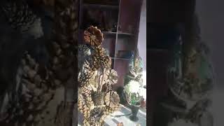 preview picture of video 'कछुआ देगा रोशनी, केरोसिन बिना जलेगी लालटेन'