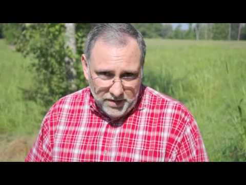 BBC Filming Fire Ants