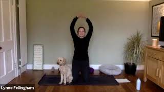 YinYasa, 14th Dec, 11.15-11.45am