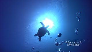 GTダイバーズ沖永良部島