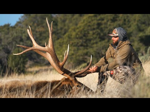 THE RETURN (A GIANT Late Season Elk Hunt)