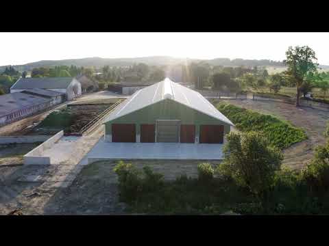 MARTINICE GROUP: Hala pro ustájení skotu - Koupě