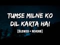 Tumse Milne Ko Dil Karta Hai Slowed Reverb LoFi Mood 90 S