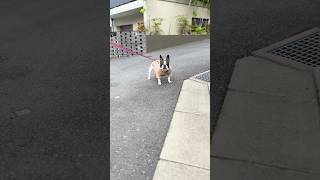 フレブルと二人でデートしてみた