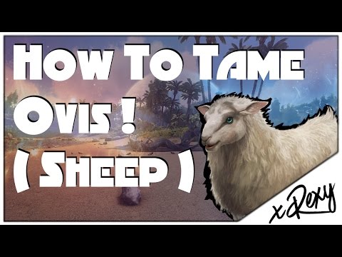 How To Tame Ovis, Raw Mutton, Everything You Need To Know - ARK: Survival Evolved