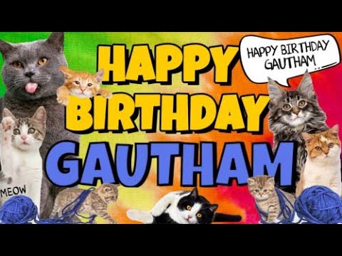 Happy Birthday Gautham! Crazy Cats Say Happy Birthday Gautham (Very Funny)