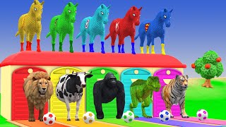 Long Slide Game With Cow Elephant Gorilla Hippopotamus Tiger 3d Animal Game Funny 3d Animals