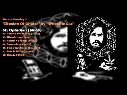 Whoopie Cat - Illusion Of Choice - (New Full Album) (2018)
