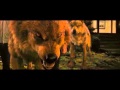 Twilight wolf scenes