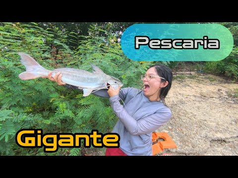 Café da manhã no barco, pescaria no Rio Tocantins e peixe frito na Orla de Marabá! 🎣🍳
