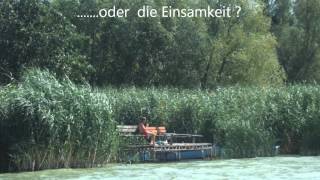 preview picture of video 'Ungarn - Plattensee (Gasthof und Camping Eldorado)'