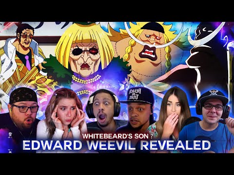 Edward Weevil Revealed ! Whitebeard's Son ? ! Reaction Mashup