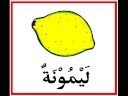 Vegetables in Arabic - English (خضراوات)