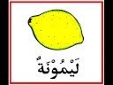Vegetables in Arabic - English (خضراوات)