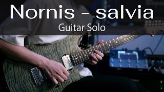 Nornis - salvia [Guitar Solo]
