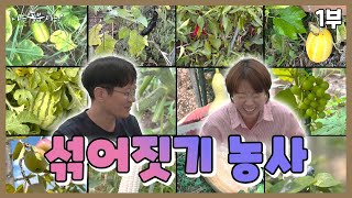 [나는 농부다 375회 1부] 생명을 나눈 남매의 지상 낙원 프로젝트