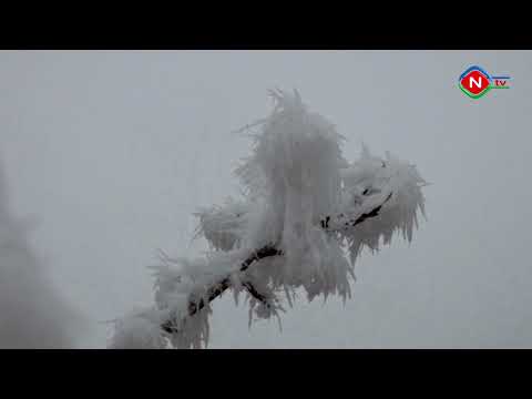 Təbiət mənzərələri 14.01.2021