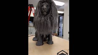 Hair Dressing the Worlds Biggest Hairy Lion 3D Pri