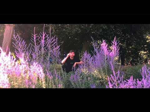 Master Niggel x Made in M - Pomelo