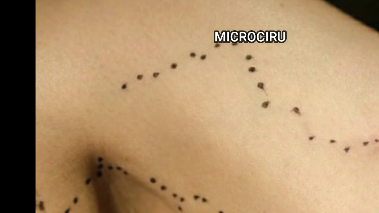 Ana Paula Pires Silva-32