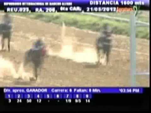 Resumen Lunes, 21 de Mayo de 2012 - Rancho Alegre