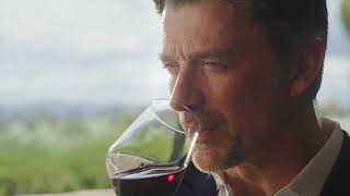 The Expert - Edvard Christie