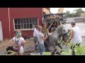 Carriage horse collapses in downtown Salt Lake City ...