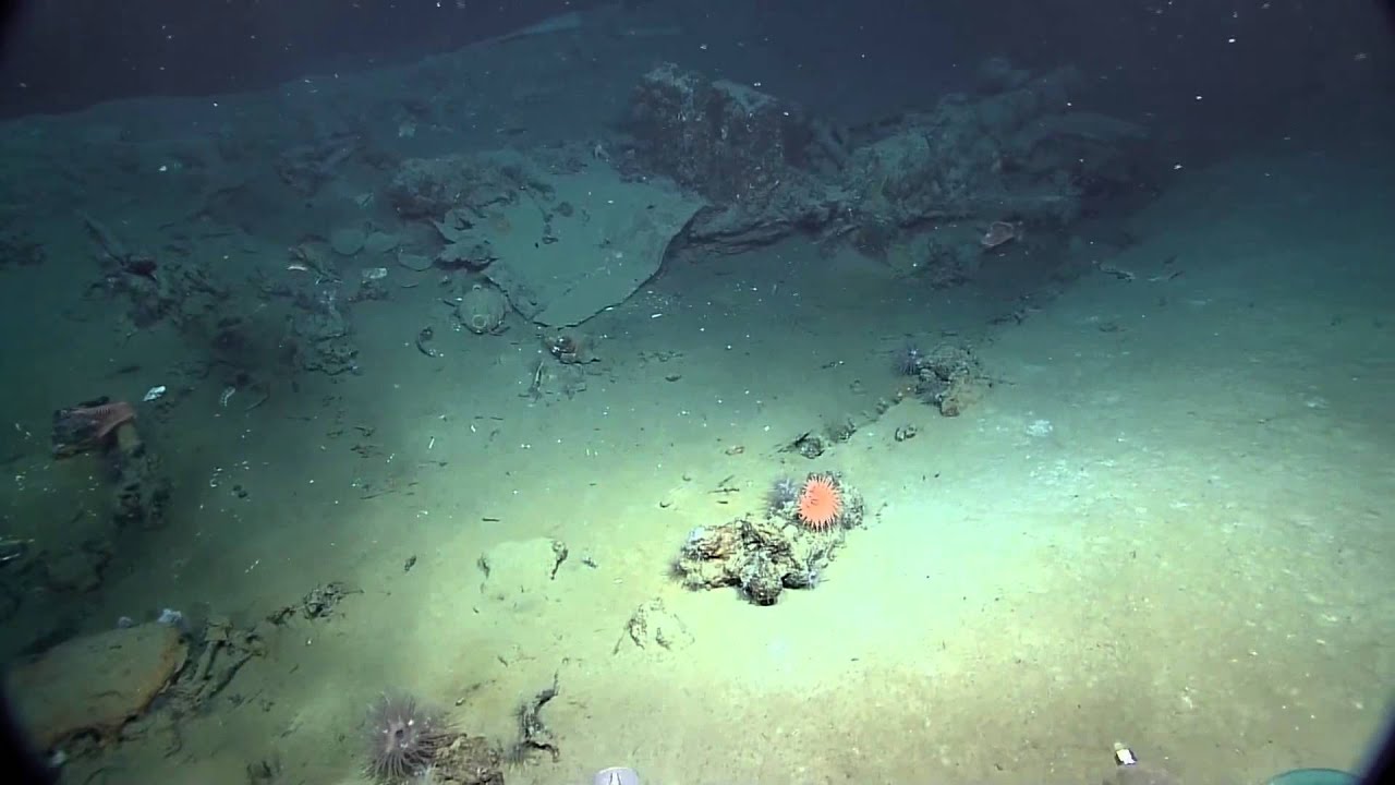 Shipwreck 15577 Initial Survey | Nautilus Live