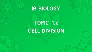 IB Biology Topic 1.6: The Cell Cycle: Mitosis, Cytokinesis and Interphase & Cyclins