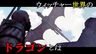 ウィッチャー3：飛竜種にも下級・上級のクラスがあるそうです【TheWitcher】