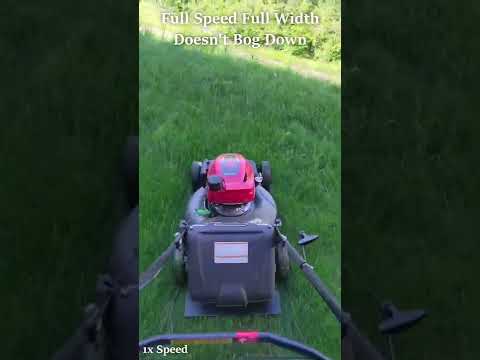 Why Honda Lawn Mowers Are The Best - HRN216 - #Shorts