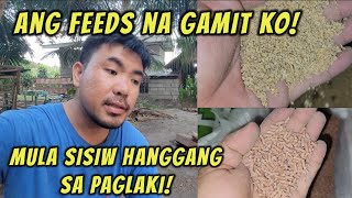 Ang feeds na gamit ko simula sisiw hangang sa palaki nito!