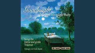 Kapitel 12.2 &amp; Kapitel 13 &amp; Kapitel 14.1 - Goodnight, You Moonlight Baby